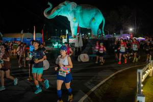 BIB: 
                            <button type="button" onclick="openModal(26552337)" class="btn btn-primary btn-sm float-right btn-popup" data-toggle="modal" data-target=".modal-high-quality">
                        <i class="fas fa-shopping-cart"></i> Add to Cart
                    </button>
                                            <button type="button" onclick="isThisMe(26552337, true)" class="btn btn-success btn-sm float-right btn-popup btn-isme hidden" data-toggle="tooltip" data-placement="bottom" title="นี่คือรูปของคุณใช่ไหม คลิกที่นี่เพื่อเอาเข้าอัลบั้ม">
                        <i class="fas fa-plus"></i> Add to album
                    </button>
                    <button type="button" onclick="isThisMe(26552337, false)" class="btn btn-warning btn-sm float-right btn-popup btn-isnotme hidden">
                        <i class="fas fa-ban"></i> Remove from album
                    </button>